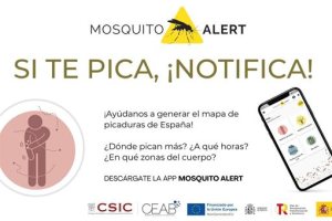 Mosquito Alert, la nueva plataforma que ha lanzado Sanidad como herramienta de vigilancia