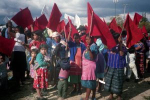 Veinte años después: por qué sigo creyendo en la cooperación